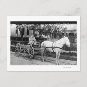 Horse pulling Delivery Wagon Photograph Postcard
