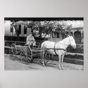 Horse pulling Delivery Wagon Photograph Poster