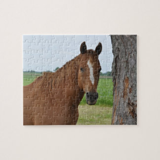 Horse Puzzle