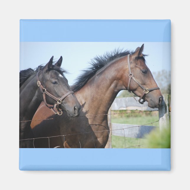 Horse Race Finish Line Magnet (Front)