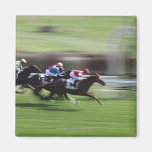 horse race magnet