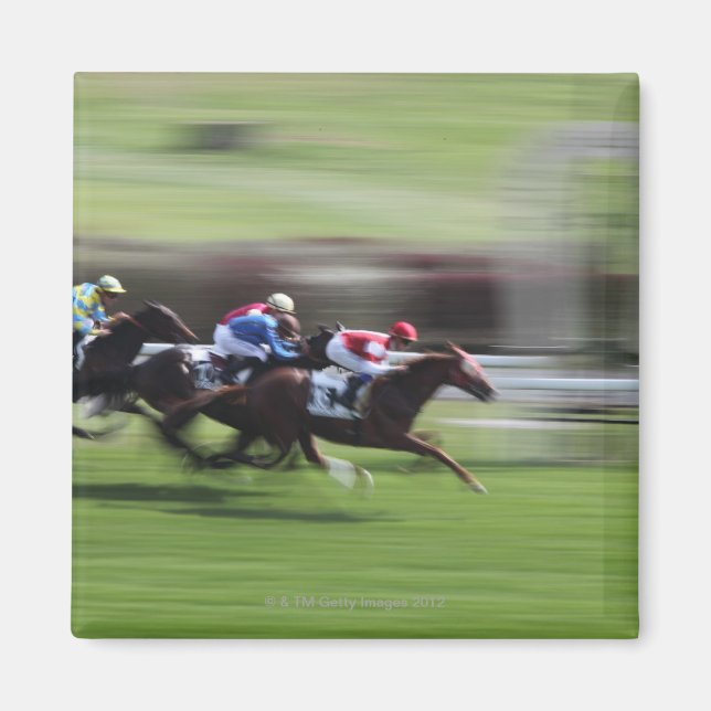 horse race magnet (Front)