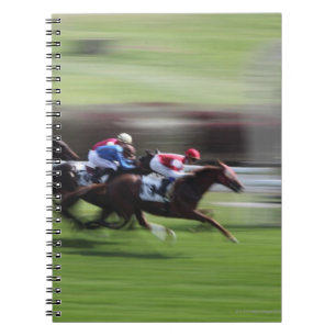 Horse Race Notebook