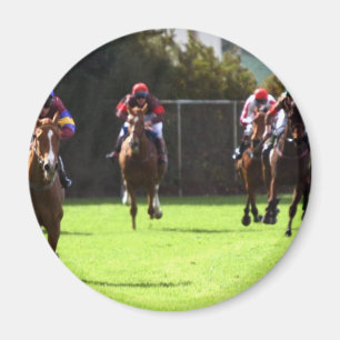Horse Racing Field Magnet