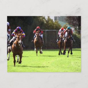 Horse Racing Field Postcard