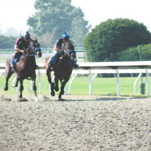 Horse Racing Party Supplies Zazzle Co Uk