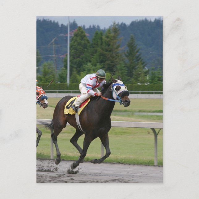 Horse racing postcard (Front)