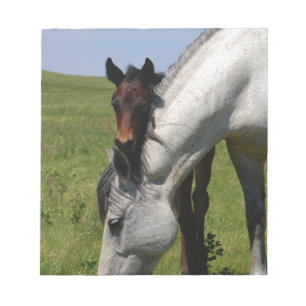 Horse Ranch Farm Destiny Nature Background Notepad