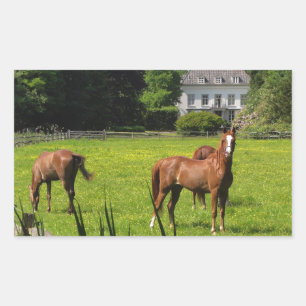 Horse Ranch Farm Destiny Nature Background Rectangular Sticker
