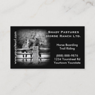 Horse Ranch, Riding Stables or Boarding Business Card