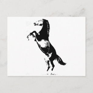 Horse Rearing Postcard