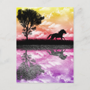 Horse Reflections Postcard