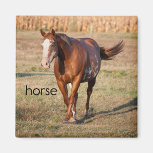 Horse Refrigerator Magnet