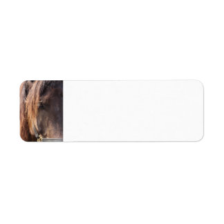 Horse return address labels