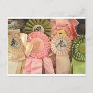 Horse Ribbon Postcards Horse Lovers