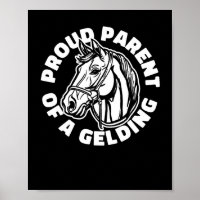 Horse Rider Gelding - Horseback Horse Riding