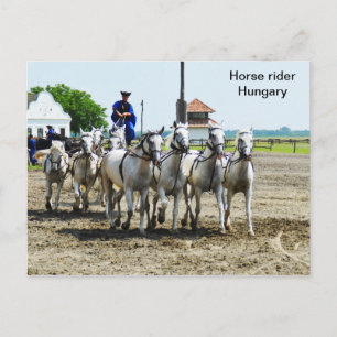 Horse rider in Hungary Postcard