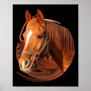 Horse Riding Graphic Horse Picture - Horse Rider Poster