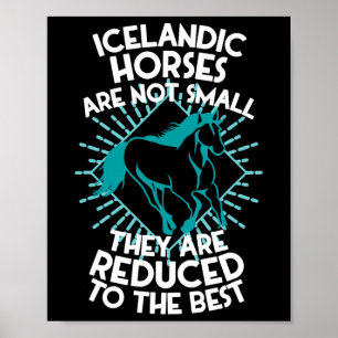 Horse Riding - Horseback Rider Horses Icelandic Ho Poster