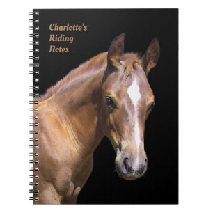 Horse / Riding Notebook w/out your text