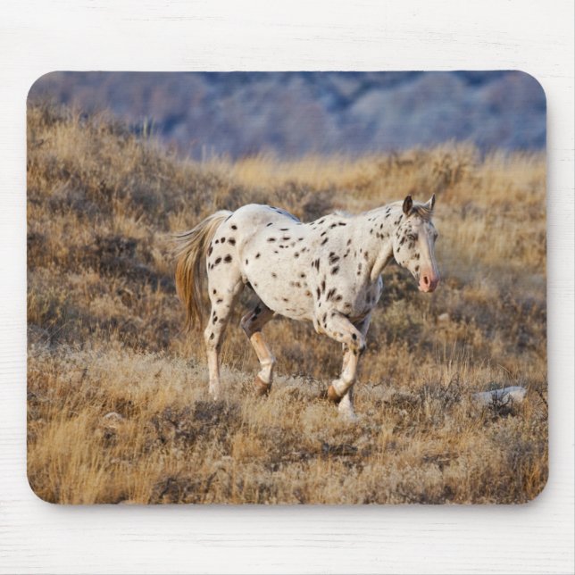 Horse Roaming the Scenic Hills of the Big Horn Mouse Mat (Front)