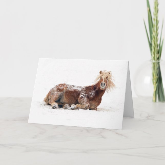 Horse Rolling In Snow Holiday Card (Front)