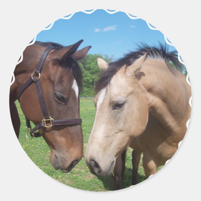 Horse Romance Stickers (Front)