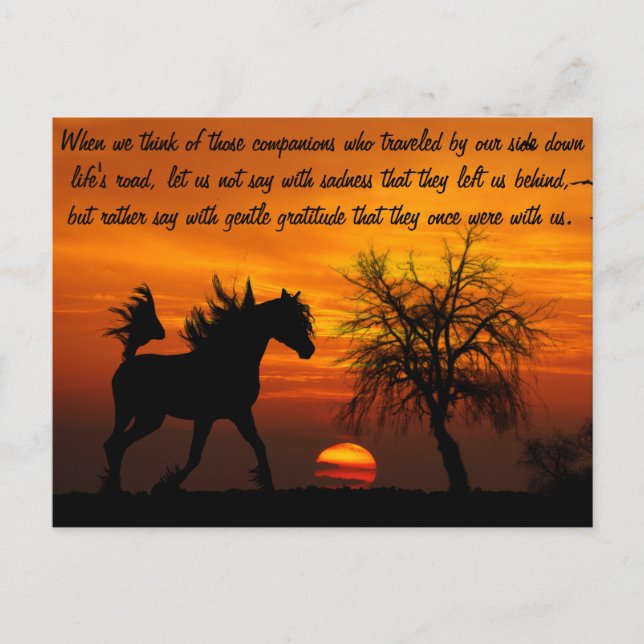 Horse Running Free at Sunset Postcard (Front)