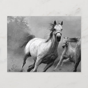 Horse Running Holiday Postcard