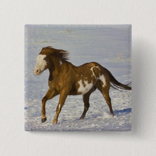 Horse Running in Snow 15 Cm Square Badge