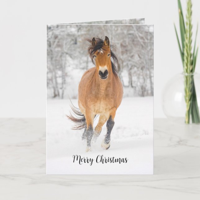 Horse Running in Snow Folded Holiday Card (Front)