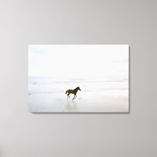 Horse running on the beach canvas print