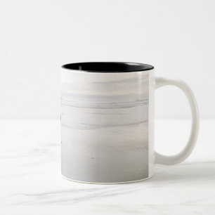 Horse running on the beach Two-Tone coffee mug
