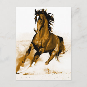 Horse Running Postcard