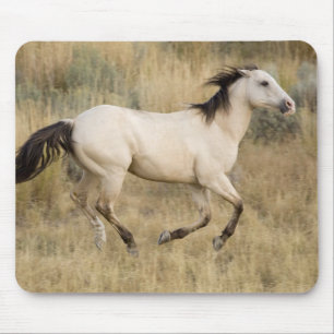 Horse Running Through Prairie Grass Mouse Mat