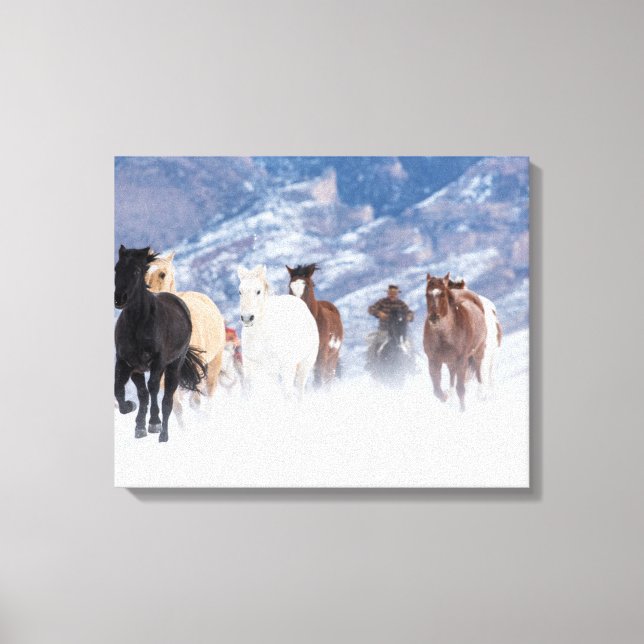 Horse Running Through the Snow Canvas Print (Front)