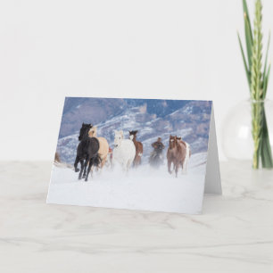 Horse Running Through the Snow Card
