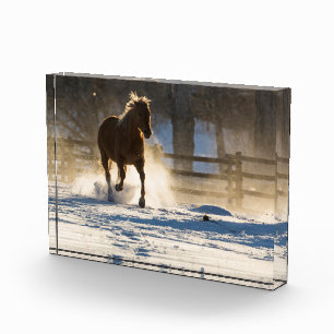 Horse Running Through the Snow Photo Block