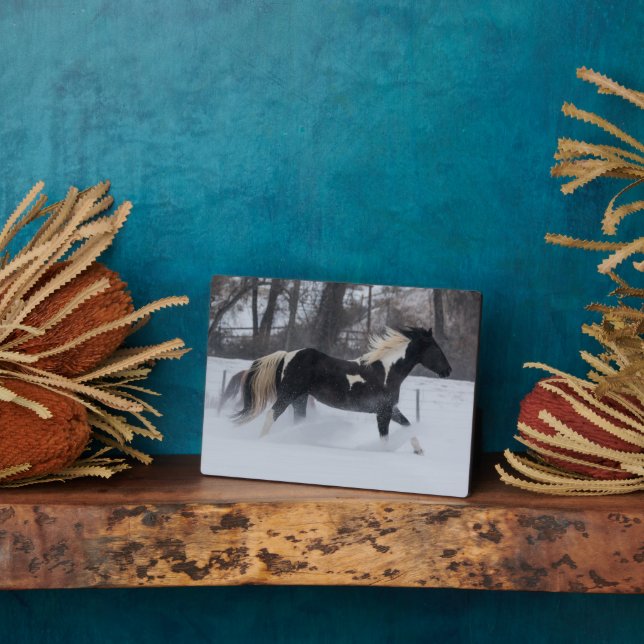 Horse Running Through the Snow Plaque (Side)