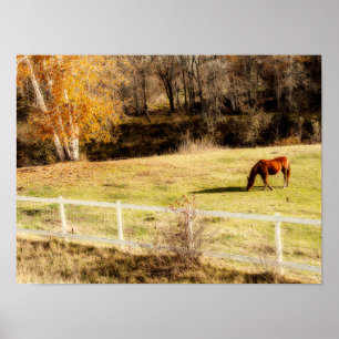Horse Rustic Country Autumn Art Poster