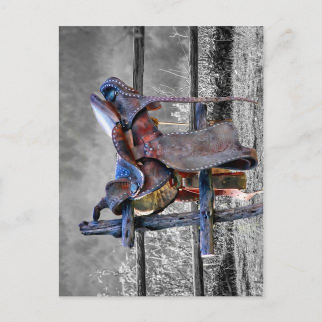 Horse Saddle On Corral Fence Western Postcard (Front)