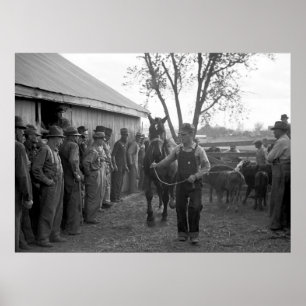 Horse Sale, 1939 Poster