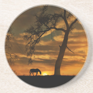 Horse Sandstone Coasters