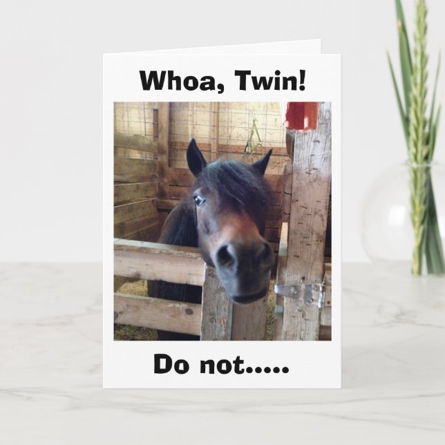 HORSE SAYS WHOA TWIN DON'T CELEBRATE YET CARD (Front)