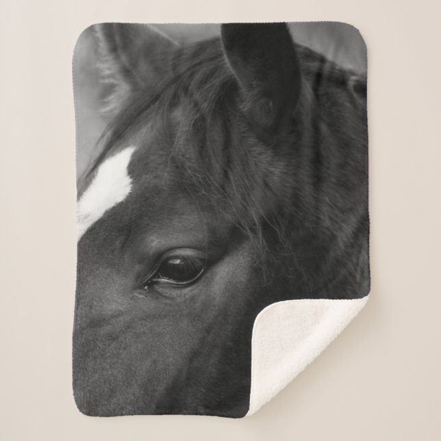 Horse sbcnm sherpa blanket (Front)