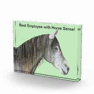 Horse Sense Acrylic Award