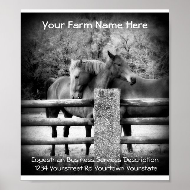Horse Services Advertisement Poster (Front)