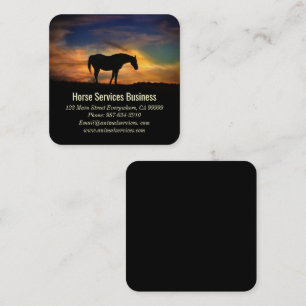 Horse Services or Equine Veterinarian Business Car Square Business Card