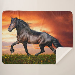 Horse Sherpa Blanket