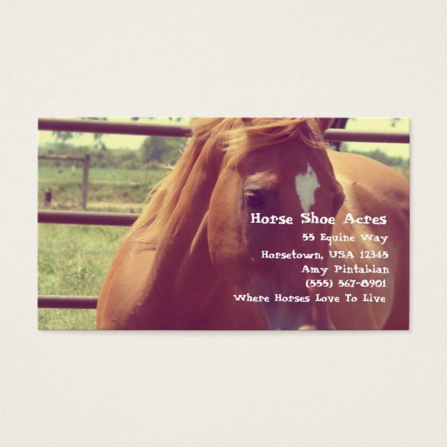 Horse Shoe Acres Soft Focus Sorrel (Front)